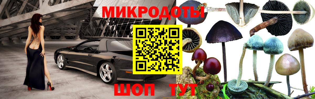 Галлюциногенные грибы мицелий Елизово
