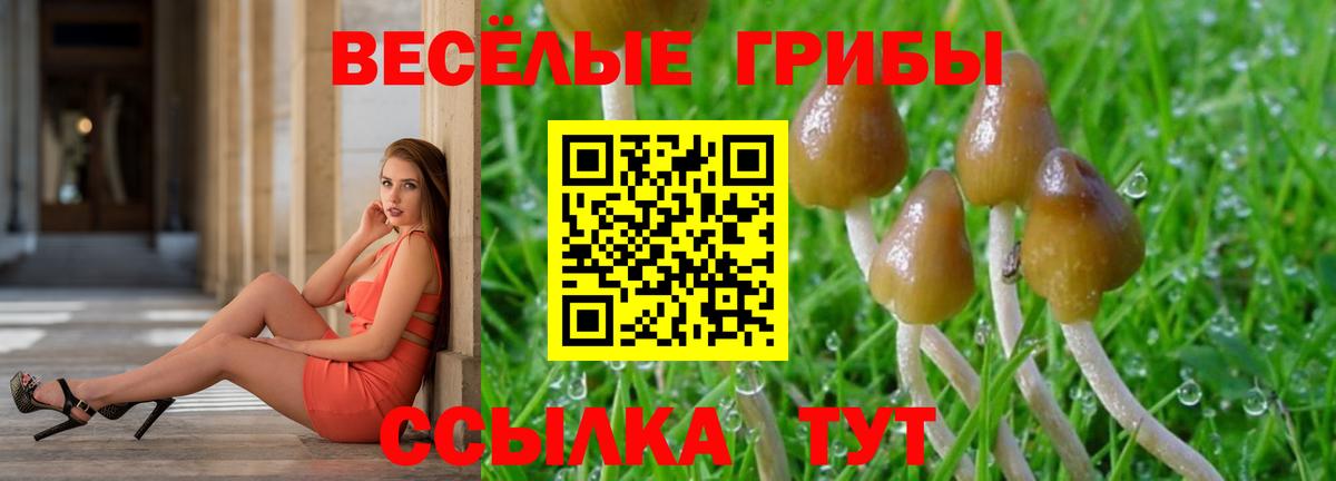 наркошоп  Галлюциногенные грибы Magic Shrooms  Вход с VPN  Елизово 